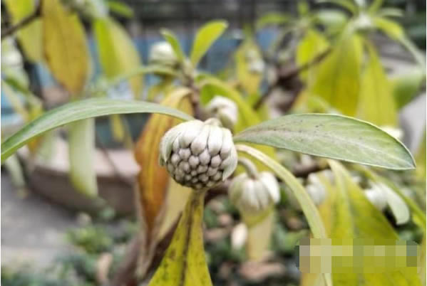 ��ҫX30���պÿ���?��ҫX30�������ܲ���_��׿�ֻ�_�ֻ�ѧԺ_��վ