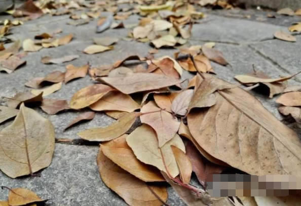 ��ҫX30���պÿ���?��ҫX30�������ܲ���_��׿�ֻ�_�ֻ�ѧԺ_��վ