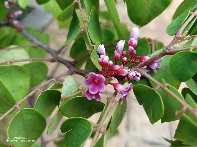 ��ҫX30i������ô�� ��ҫX30i��ϸ����_�ֻ�����_�ֻ�ѧԺ_��վ