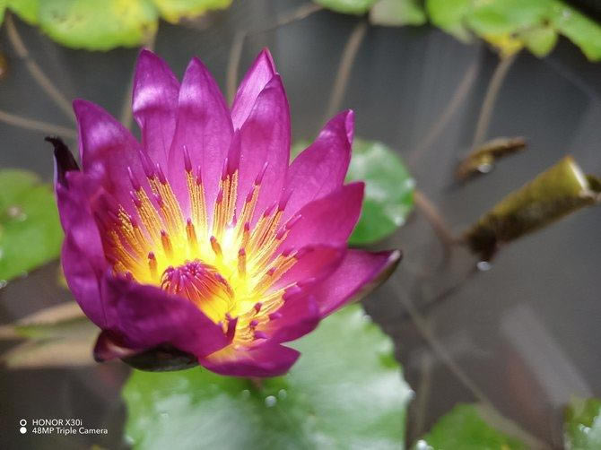 ��ҫX30i������ô�� ��ҫX30i��ϸ����_�ֻ�����_�ֻ�ѧԺ_��վ