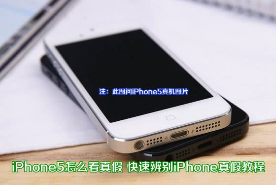 苹果iPhone5怎么看真假？_iphone指南