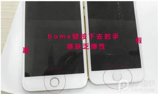 ͼչʾiPhone6ģƭ