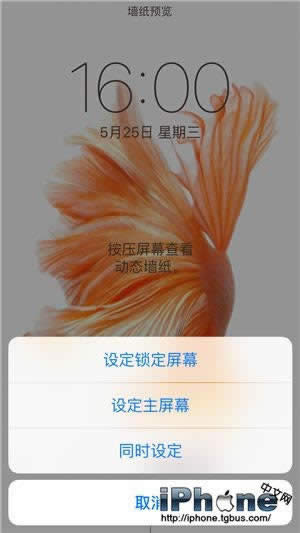 iPhone6sֽ̬ô_iphoneָ