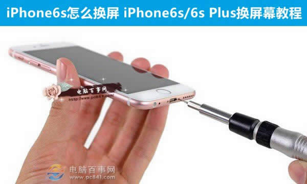 iphone6 plusĸƵã 