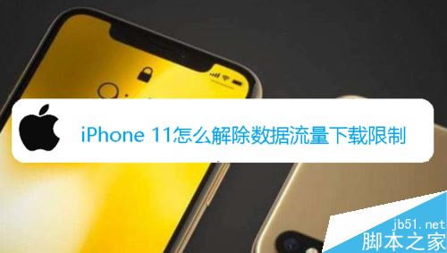 iphone11怎么解除流量下载局限？iPhone11解除流量下载局限的办法