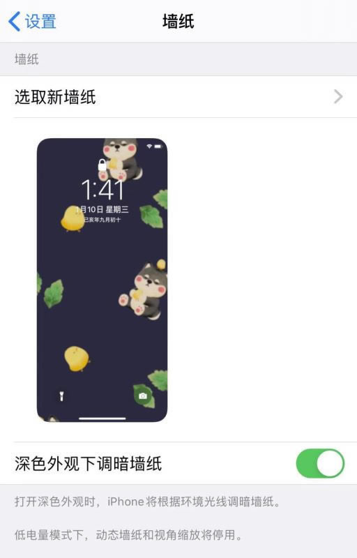 iPhone11/11 ProʵƬΪֽ̬?