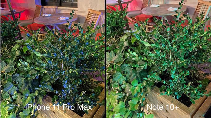 两款手机评测 iPhone11 Pro Max与Galaxy Note10+拍照对比_手机评测_手机学院_本站