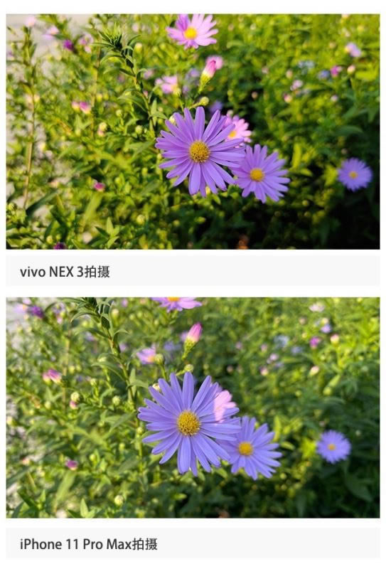 iPhone11Pro和vivo NEX3哪款拍照好 iPhone11Pro和vivo NEX3拍照对比_手机评测_手机学院_本站