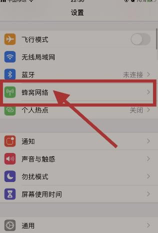 iphone13如何修改运营商名称教程_苹果手机_本站