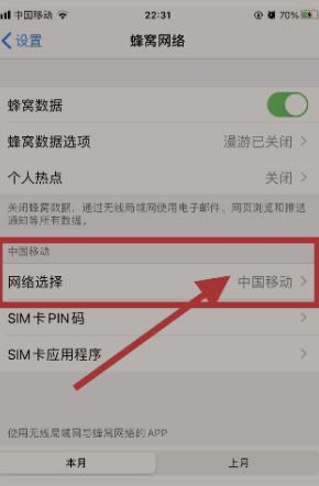 iphone13如何修改运营商名称教程_苹果手机_本站