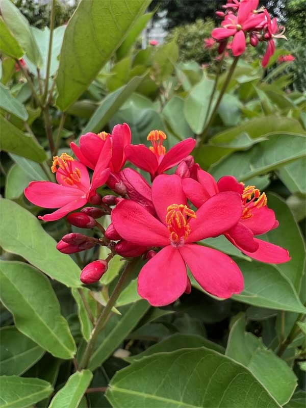 iPhone13Pro值不值得入手?iPhone13Pro手机评测_苹果手机_手机学院_本站