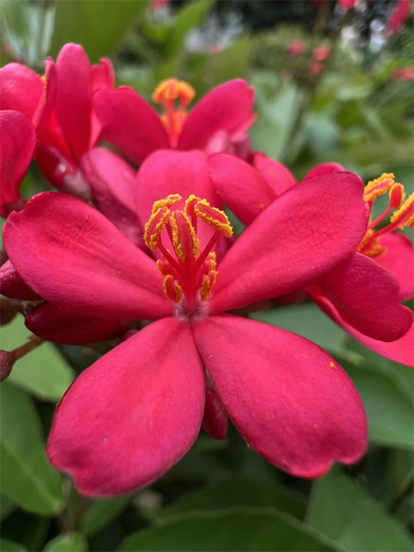 iPhone13Pro值不值得入手?iPhone13Pro手机评测_苹果手机_手机学院_本站