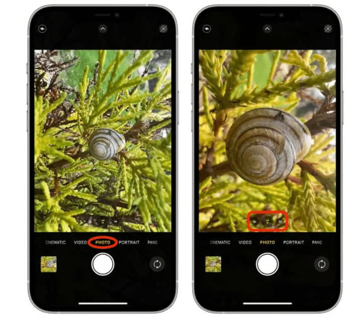 iPhone 13 Pro/Max如何使用微距模式进行拍摄_苹果手机_本站