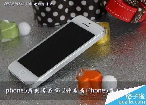 iphone5к 2ֲ鿴iPhone5кŷ