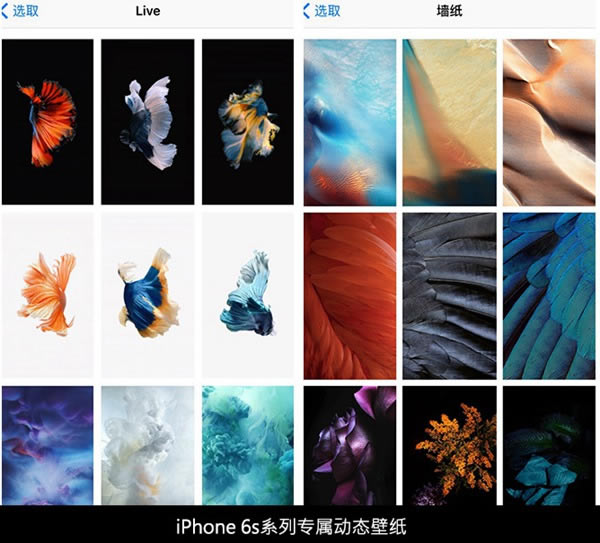 iPhone6s Plus怎么样 iPhone6s Plus详细评测图解