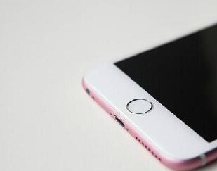 苹果iPhone6s粉色多少钱? iPhone6s粉色版会在中国大陆开卖吗?_手机资讯_手机学院_本站