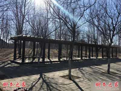 魅族Pro5和iPhone6s哪个好?iPhone6s和魅族Pro5拍摄能力对比评测_手机评测_手机学院_本站