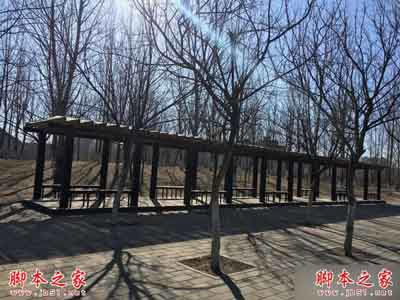 魅族Pro5和iPhone6s哪个好?iPhone6s和魅族Pro5拍摄能力对比评测_手机评测_手机学院_本站