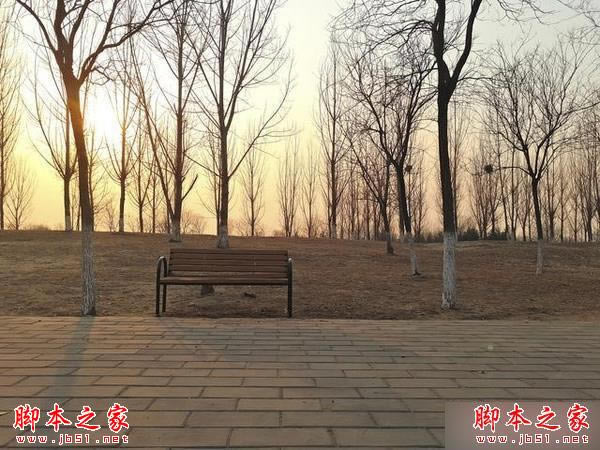 魅族Pro5和iPhone6s哪个好?iPhone6s和魅族Pro5拍摄能力对比评测_手机评测_本站
