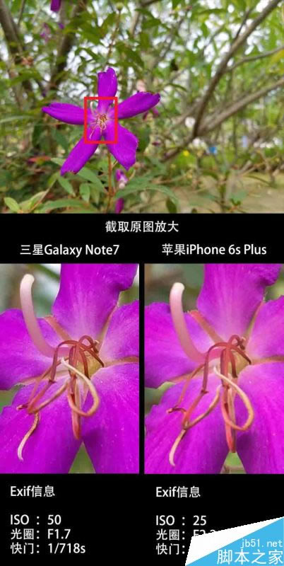 三星Note7、iPhone 6S Plus拍照对比测试:差距惊人
