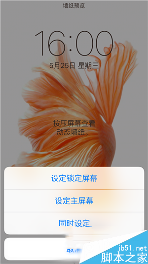 iPhone6s动态壁纸不动怎么回事 iPhone6s动态壁纸不动的解决办法_苹果手机_本站