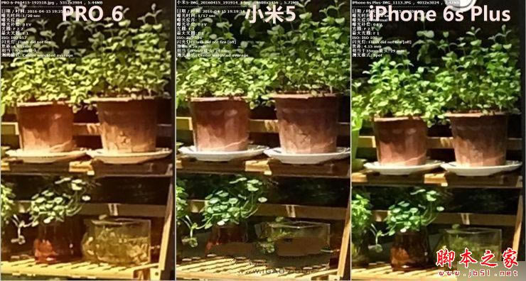小米5 /魅族PRO 6 /iPhone 6s Plus拍照对比