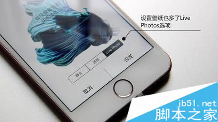 iphone6s/Plus动态锁屏壁纸制作教程  iPhone6s/Plus自制live photo动态锁屏壁纸导入图_苹果手机_手机学院_本站