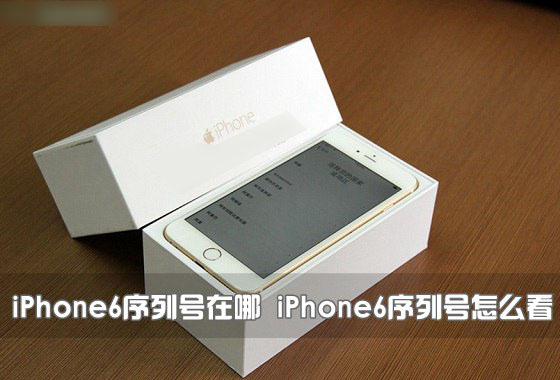 iPhone6序列号怎么看?苹果iPhone6序列号查询方法图解_苹果手机_手机学院_本站