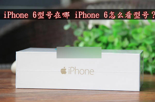 iPhone 6型号在哪里看?三种怎么看iphone6型号方法详解_苹果手机_手机学院_本站