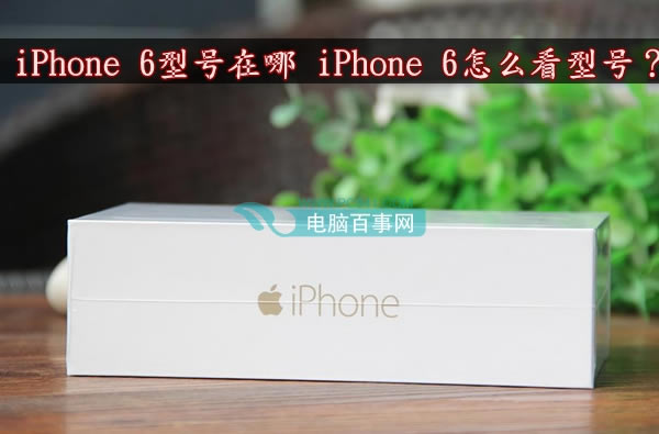 iPhone6型号在哪怎么看型号以此判断iPhone 6是否为行货_苹果手机_手机学院_本站