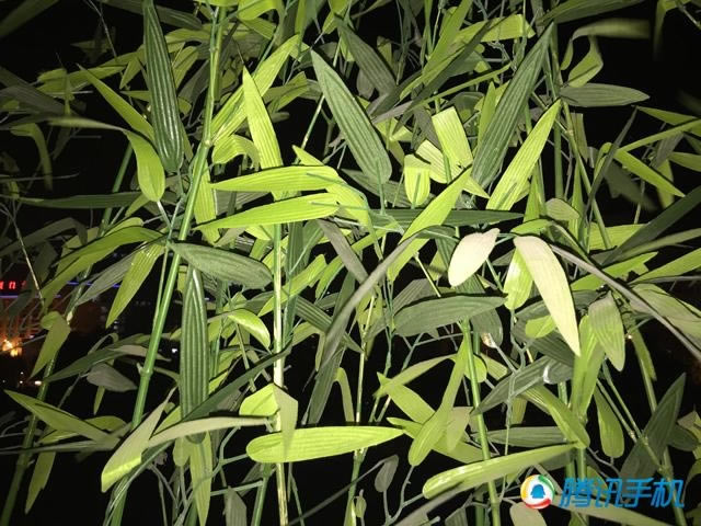 国行iPhone 6/6+评测:史上最好用!