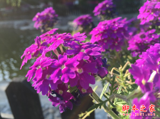 三星S6对比苹果iPhone 6对比测评_手机评测_手机学院_本站