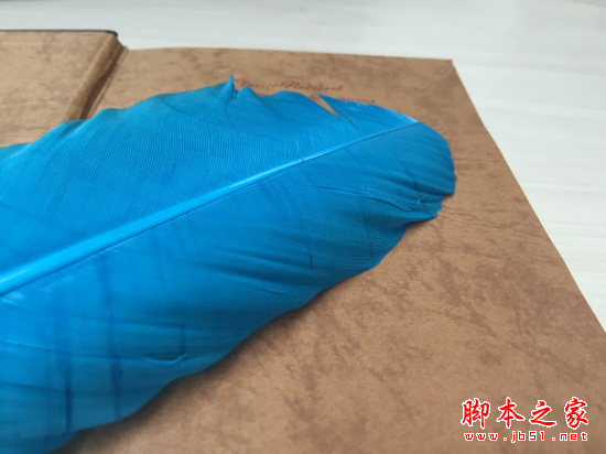 三星S6对比苹果iPhone 6对比测评_手机评测_手机学院_本站