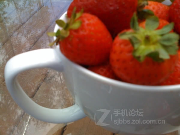 点击查看大图 【历代八款iPhone家族拍照性能对比】从iPhone 1代到iPhone 6/组图_手机评测_手机学院_本站