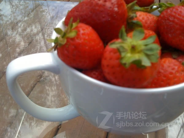 点击查看大图 【历代八款iPhone家族拍照性能对比】从iPhone 1代到iPhone 6/组图_手机评测_手机学院_本站