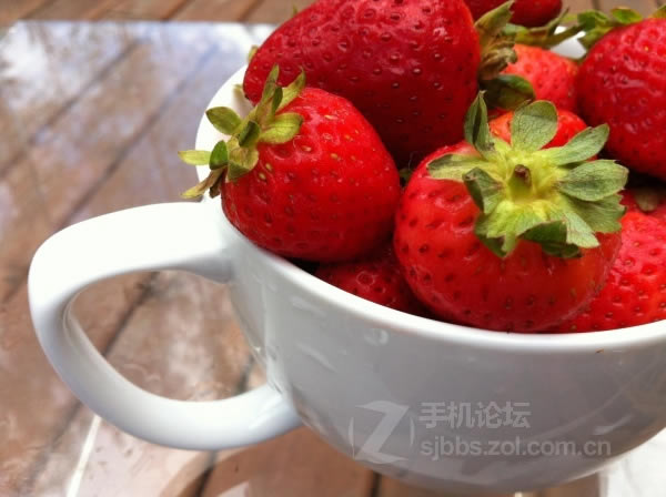 点击查看大图 【历代八款iPhone家族拍照性能对比】从iPhone 1代到iPhone 6/组图_手机评测_手机学院_本站