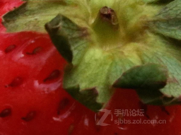 点击查看大图 【历代八款iPhone家族拍照性能对比】从iPhone 1代到iPhone 6/组图_手机评测_手机学院_本站