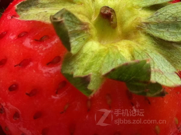 点击查看大图 【历代八款iPhone家族拍照性能对比】从iPhone 1代到iPhone 6/组图_手机评测_手机学院_本站