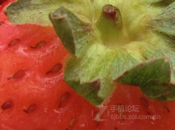 点击查看大图 【历代八款iPhone家族拍照性能对比】从iPhone 1代到iPhone 6/组图_手机评测_手机学院_本站