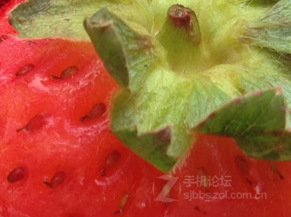 点击查看大图 【历代八款iPhone家族拍照性能对比】从iPhone 1代到iPhone 6/组图_手机评测_手机学院_本站