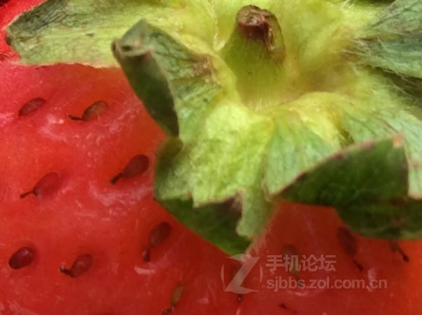 点击查看大图 【历代八款iPhone家族拍照性能对比】从iPhone 1代到iPhone 6/组图_手机评测_手机学院_本站