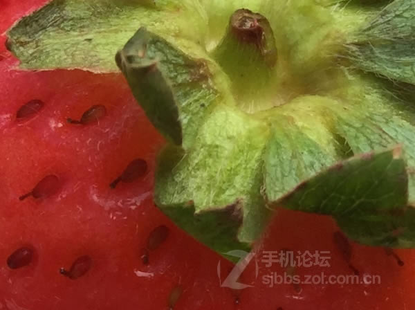 点击查看大图 【历代八款iPhone家族拍照性能对比】从iPhone 1代到iPhone 6/组图_手机评测_手机学院_本站