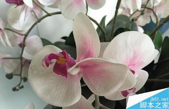 4.7寸iPhone6全面评测