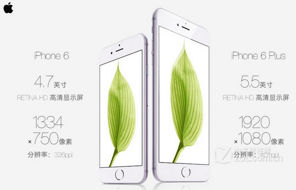 iPhone6和iPhone6 Plus的区别有哪些?苹果iPhone6 和Plus官方对比图解 _苹果手机_手机学院_本站