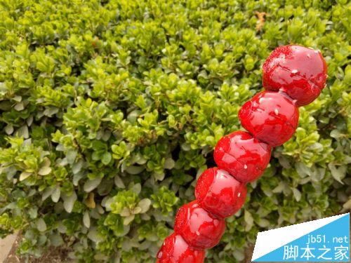 OPPO R9对比iPhone 6全方位详细测评 指纹解锁仅需0.2秒_安卓手机_手机学院_本站