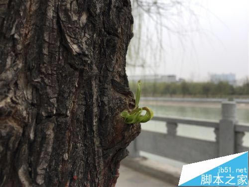 OPPO R9对比iPhone 6全方位详细测评 指纹解锁仅需0.2秒_安卓手机_手机学院_本站