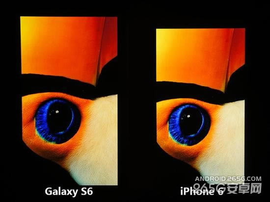 三星S6和iPhone6该买哪个?两款手机详细对比_手机评测_手机学院_本站