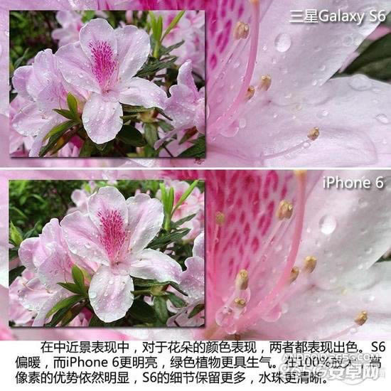 三星S6和iPhone6该买哪个?两款手机详细对比_手机评测_手机学院_本站