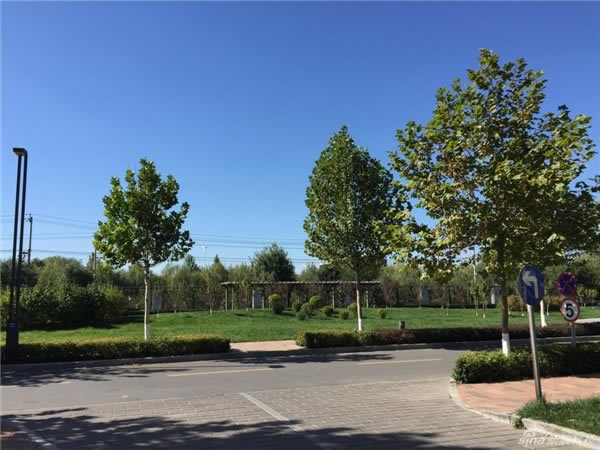 国行iPhone6/6 Plus好不好?国行iPhone6/6 Plus试用体验全面评测_手机评测_手机学院_本站