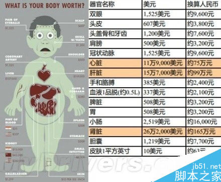 iPhone 6发布 “人体器官价位表”走红 iPhone 6发布 “人体器官价位表”走红